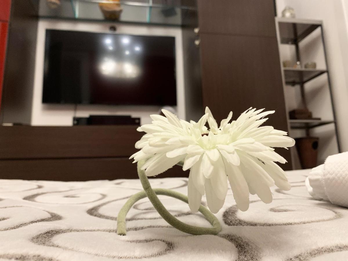 Sansiro47 Bed & Breakfast Milano Eksteriør bilde